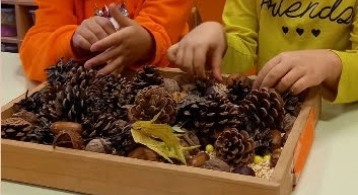 Anaokulunda Sonbahar İncelemesi