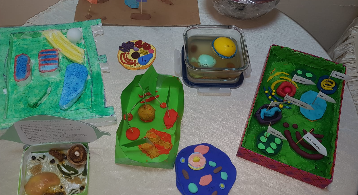 Bitki ve Hayvan Hücreleri Çalışmaları