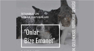 Hayvan Dostu Sergisi