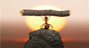 Motivasyon - Kasım 2020 Bülteni