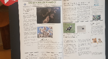 Efdal Middle School Eco Club Do It Green Newspaper Activity